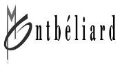 Logo Ville de Montbéliard